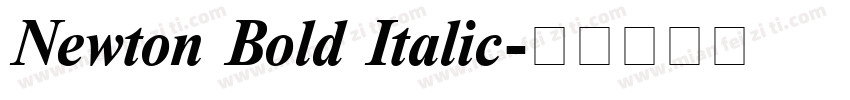 Newton Bold Italic字体转换